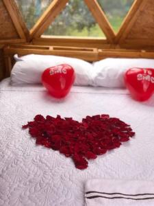 “Entres sueños”, el lugar ideal para soñar