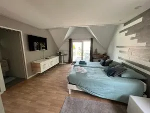 Chambre Executive Luxe et Confort pour vos Séjours - Niederschaeffolsheim