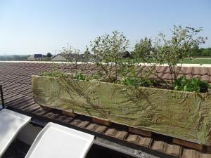 Appartements les Quatre Vents : photos des chambres