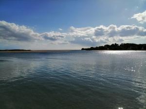 Appartements Vue sur mer : photos des chambres