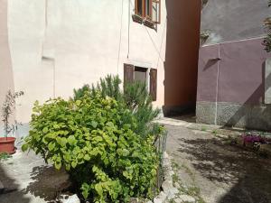 Old City Labin Apartman Lino