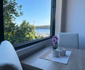 Apartments Near the sea Barbat