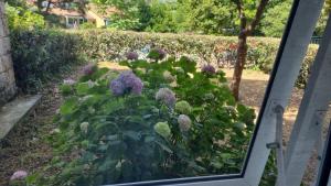 Golden Fields Apartment near the Old Town