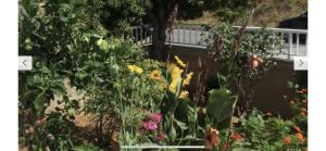 KOUMANS RESIDENCE AKOUMIA-TRIOPETRA