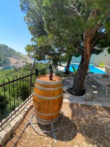 Villa Degenija - Principality of Zarijak