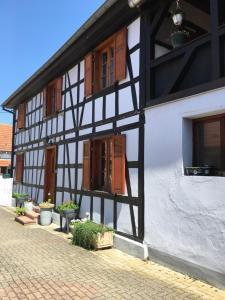 Appartements Bienvenue en Alsace : photos des chambres