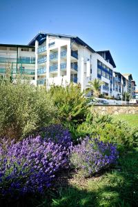 Appart'hotels Residence Mer & Golf Sokoburu : photos des chambres