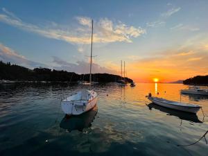 Studio apartment JELI