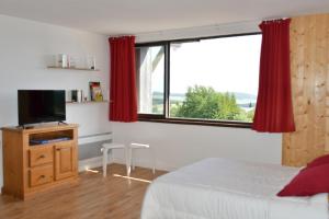 Appartements Grand studio 6 pers. Super Besse, Residence *** : photos des chambres