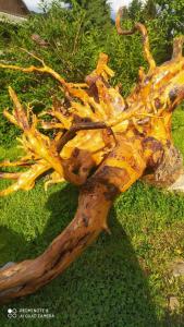 Садиба У Надії