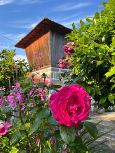 Holiday home Quinta do Mirante