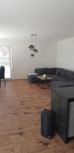 Vilka na Zemplínskej Šírave