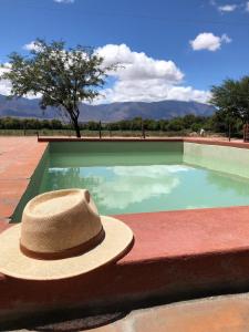 Cabañas Bella Vista