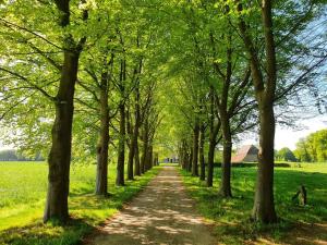 B&B Joostink in Vorden