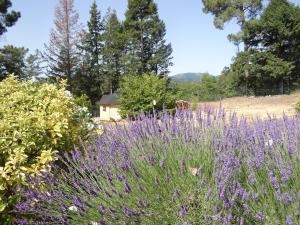 B&B / Chambres d'hotes Brin d Ardeche : photos des chambres