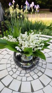 B&B / Chambres d'hotes Aux Couleurs d'Esteil : photos des chambres