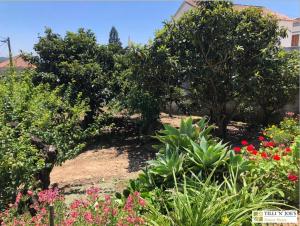 TillinJoes Nature House