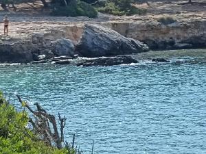 SALENTO MARE E ARTE