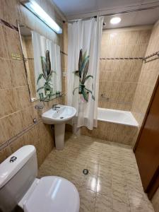 Мезонет Лапландия