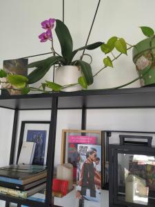 Appartements Charming Duplex with Terrace Historical City Center : photos des chambres