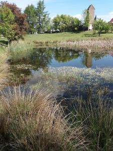 ExklusiveWohnung mitten in der Natur - Ruths Nest