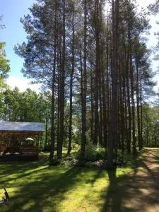 Reinholdi puhkemaja - Saka