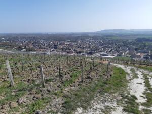 B&B / Chambres d'hotes La Cour des Marotiers : photos des chambres