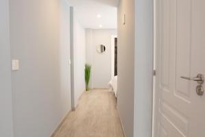 AP TURIST VELÁZQUEZ