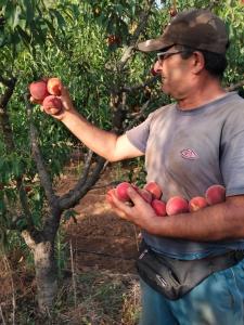 Agriturismo i doni del mandorlo img25