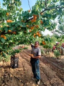 Agriturismo i doni del mandorlo img24