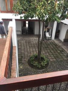 Quito Downtown View Point Studio