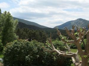 Maisons de vacances Montagne, mer et Verdon : photos des chambres