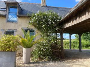 Villas LONGERE AU CALME PROCHE DE RENNES et DE GOLF : Villa Deluxe