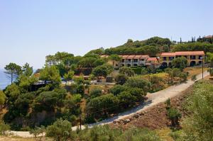 Celia Apartments Zakynthos Greece