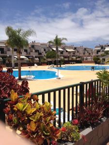 Geranios Costa del Silencio