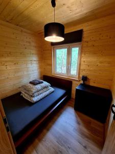 DOMKI We MGLE - Borsk