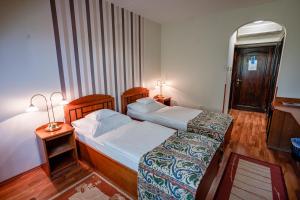 Standard Twin Room room in Hotel Erzsébet