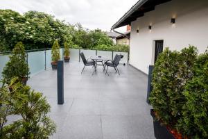 Apartments Vila Apolonia