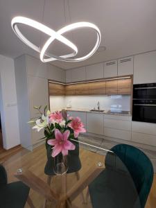 Superior Apartment room in Penzión Darinka