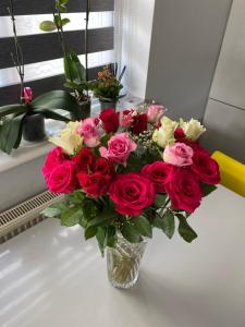 Modern 2 bedroom flat with Sky TV & free parking