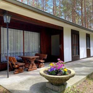 Bungalow im Kiefernwald direkt an der Ostsee (a)