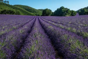 Complexes hoteliers Club Vacances Bleues Domaine de Chateau Laval : photos des chambres