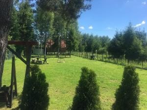 Apartament w sercu Warmii