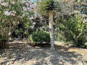 Villa Eden Beach img56