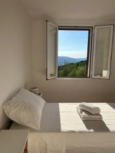 Coralli 8 - Residence Sole Ruju img16