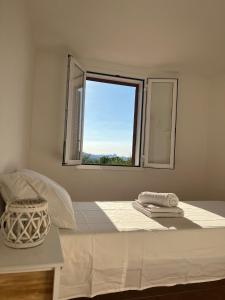 Coralli 8 - Residence Sole Ruju img27