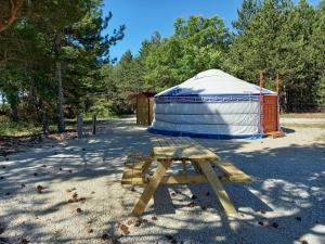 Maisons d'hotes A Ventoux Yourte : photos des chambres