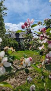 Maisons d'hotes LA VILLA QUI A DU CHIEN : photos des chambres