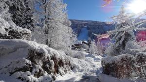 Apartments-Weberlandl