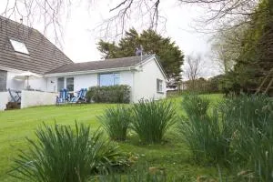 Valley Breeze - Crackington Haven